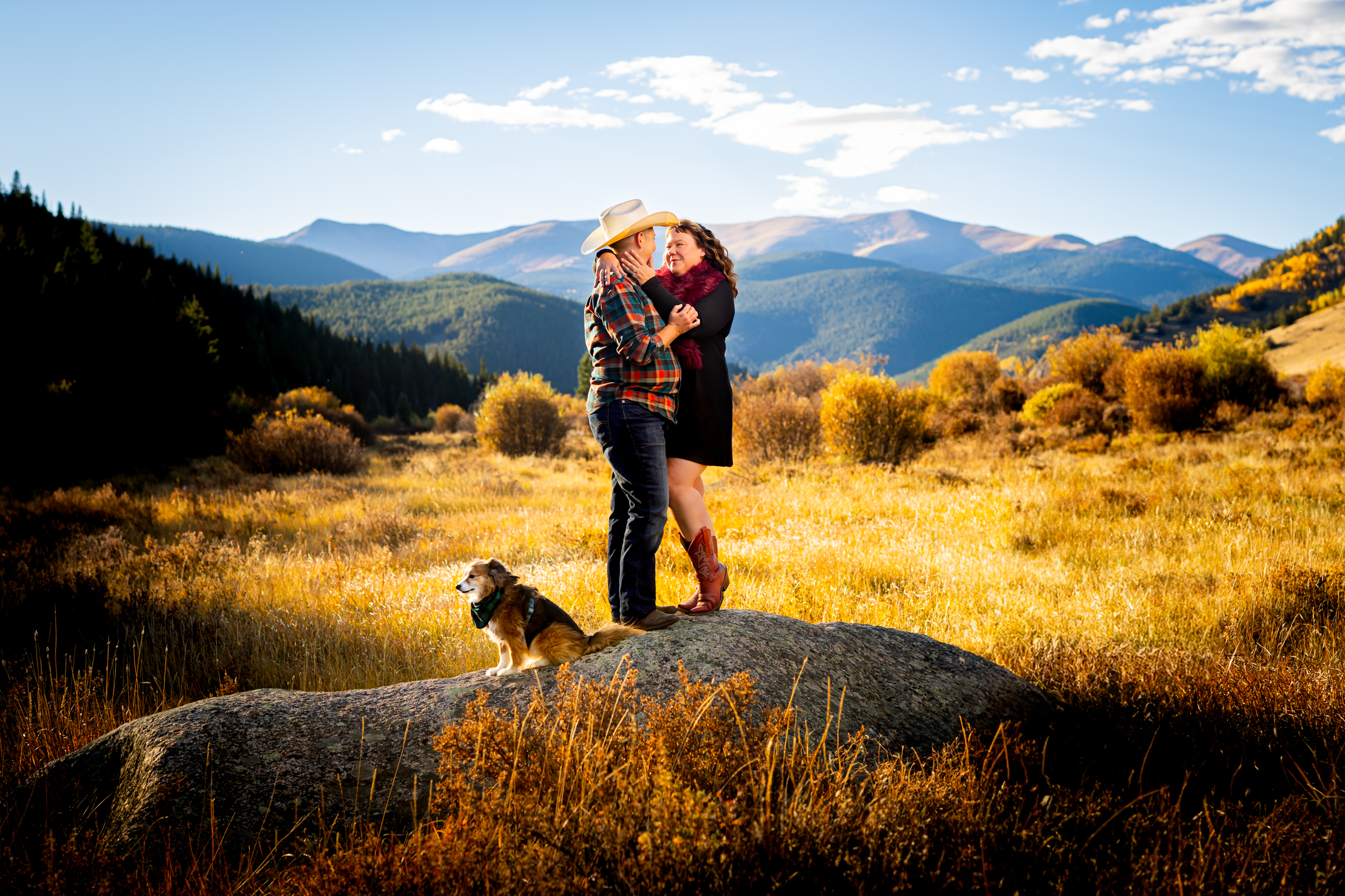 Guanella Pass engagement photos with a golden meadow and mountains behind the couple who are standing on a rock with their dog, embracing each other.